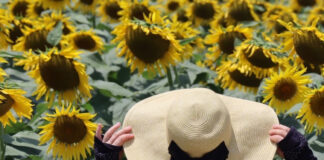 เที่ยวช่วงซัมเมอร์ที่โอคายาม่า