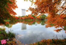 นากาจิมะ : สวนสาธารณะใจกลางเมืองซัปโปโร