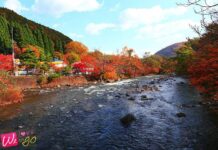 ทะเลสาบโทวาดะ สถานที่ชมใบไม้แดงสุดฮิต