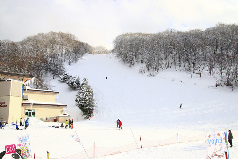 เล่นหิมะที่ลานสกี Zao Onsen
