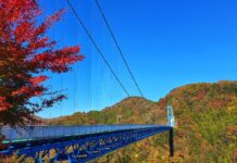 สะพานแขวนริวจิน สะพานแขวนคนเดินยาวที่สุดในเกาะฮอนชู (Ryujin Suspension Bridge) จ.อิบารากิ