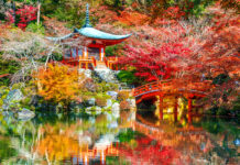 จุดชมวิวใบไม้เปลี่ยนสีในเกียวโต