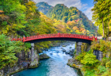 ทริป 7 วัน กับสีสันของฤดูใบไม้เปลี่ยนสี โทโฮคุ&โทจิงิ