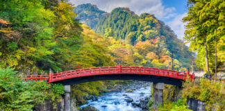 ทริป 7 วัน กับสีสันของฤดูใบไม้เปลี่ยนสี โทโฮคุ&โทจิงิ