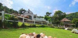 Morning Glory Resort & Bakery โรแมนติกกลางหุบเขา คลอเคล้าสายหมอก สวนผึ้ง ราชบุรี