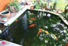 Treehomeplus จ.นครศรีธรรมราช