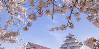 Tsuruga Castle welovefukushima